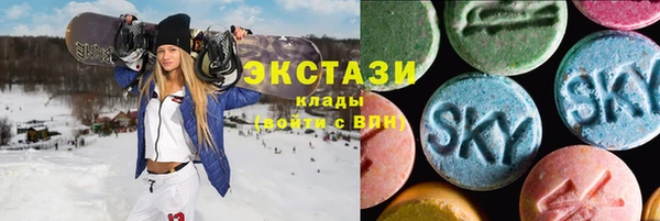 СК Алексин